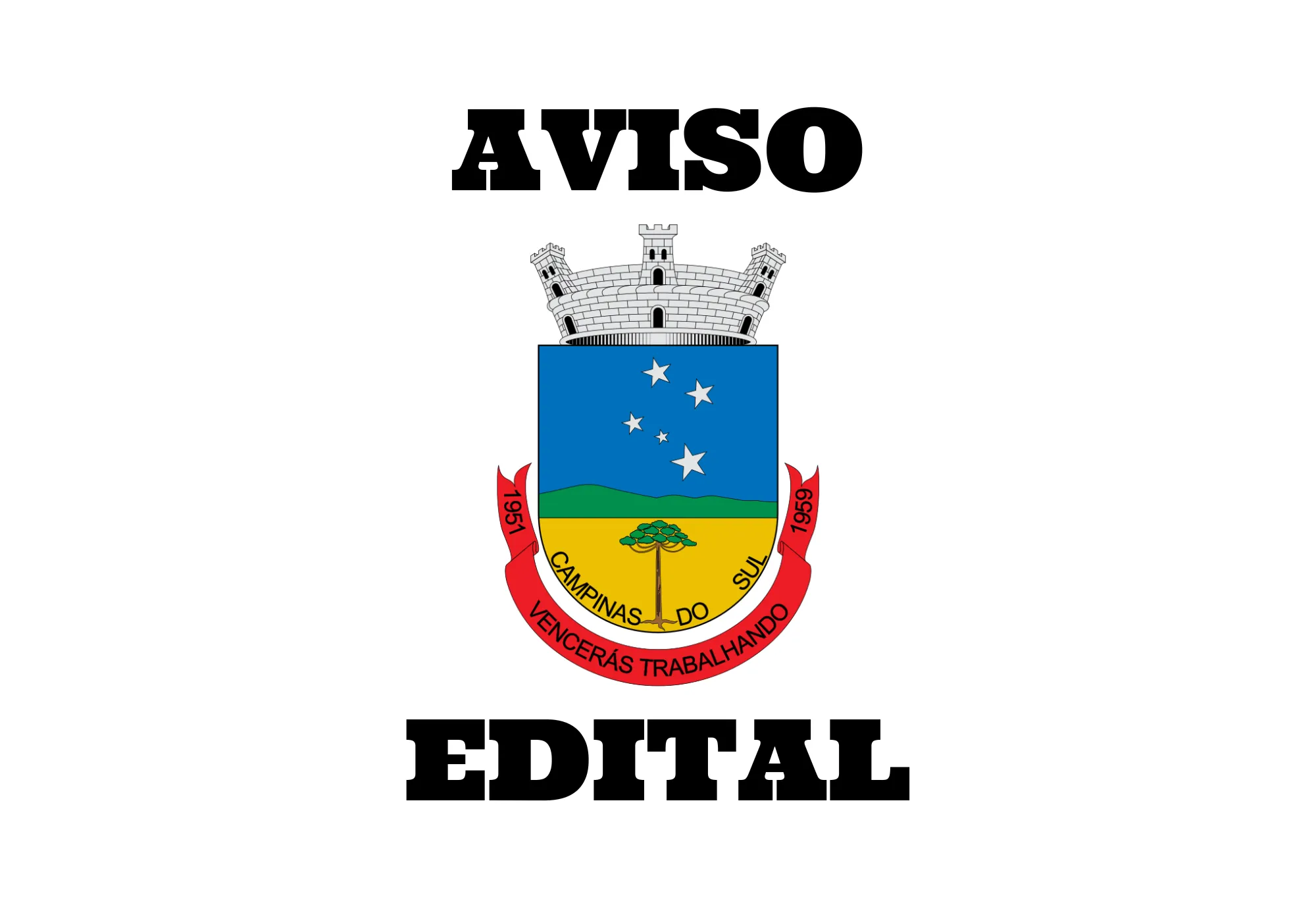 Pontuação e Classificação Preliminar do Processo Seletivo 018/2021